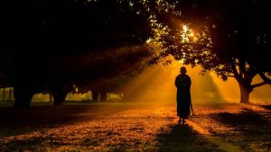 Read more about the article THE DEEPLY PERSONAL JOURNEY OF ONESELF.